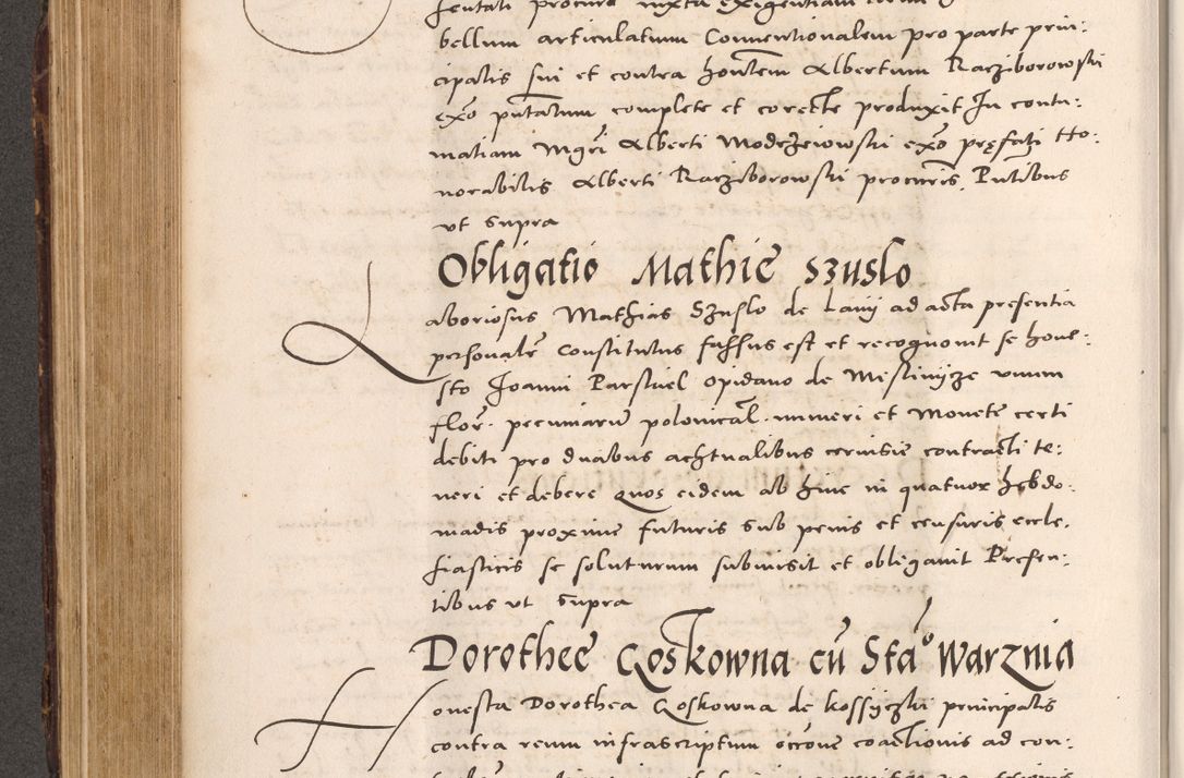 Zdjęcie nr 410 dla obiektu archiwalnego: Acta actorum causarum, sentenciarum tam diffinitivarum quam interloquutoriarum, decretorum, obligationum, quietationum et constitucionum procuratorum coram reverendo domino Bartholomeo Ganthkowsky cancellario Gnesnensi, archidiacono et reverendissimi in Christo patris domini Andree Dei gratia episcopi Cracoviensis vicario in spiritualibus generali Cracoviensi ad annum Domini millesimum quingentesimum quingentesimum primum, cuius indictio nona, pontificatus sanctissimi in Christo patris domini Julii divina providencia pape tercii, annus secundus (sic!) felici omine incipiutur.