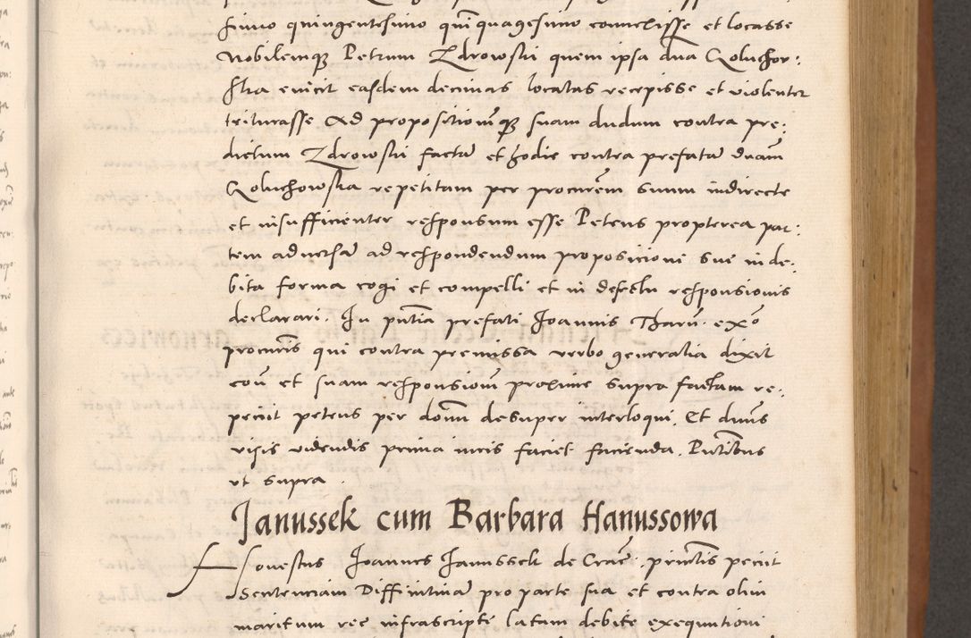 Zdjęcie nr 341 dla obiektu archiwalnego: Acta actorum causarum, sentenciarum tam diffinitivarum quam interloquutoriarum, decretorum, obligationum, quietationum et constitucionum procuratorum coram reverendo domino Bartholomeo Ganthkowsky cancellario Gnesnensi, archidiacono et reverendissimi in Christo patris domini Andree Dei gratia episcopi Cracoviensis vicario in spiritualibus generali Cracoviensi ad annum Domini millesimum quingentesimum quingentesimum primum, cuius indictio nona, pontificatus sanctissimi in Christo patris domini Julii divina providencia pape tercii, annus secundus (sic!) felici omine incipiutur.