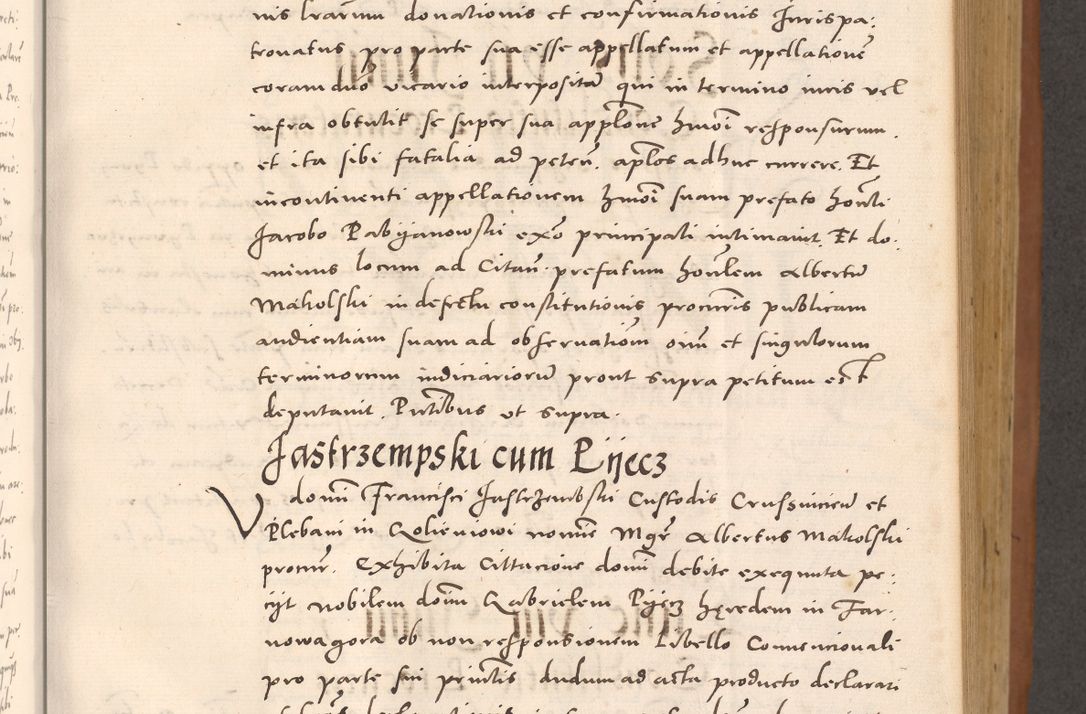 Zdjęcie nr 291 dla obiektu archiwalnego: Acta actorum causarum, sentenciarum tam diffinitivarum quam interloquutoriarum, decretorum, obligationum, quietationum et constitucionum procuratorum coram reverendo domino Bartholomeo Ganthkowsky cancellario Gnesnensi, archidiacono et reverendissimi in Christo patris domini Andree Dei gratia episcopi Cracoviensis vicario in spiritualibus generali Cracoviensi ad annum Domini millesimum quingentesimum quingentesimum primum, cuius indictio nona, pontificatus sanctissimi in Christo patris domini Julii divina providencia pape tercii, annus secundus (sic!) felici omine incipiutur.