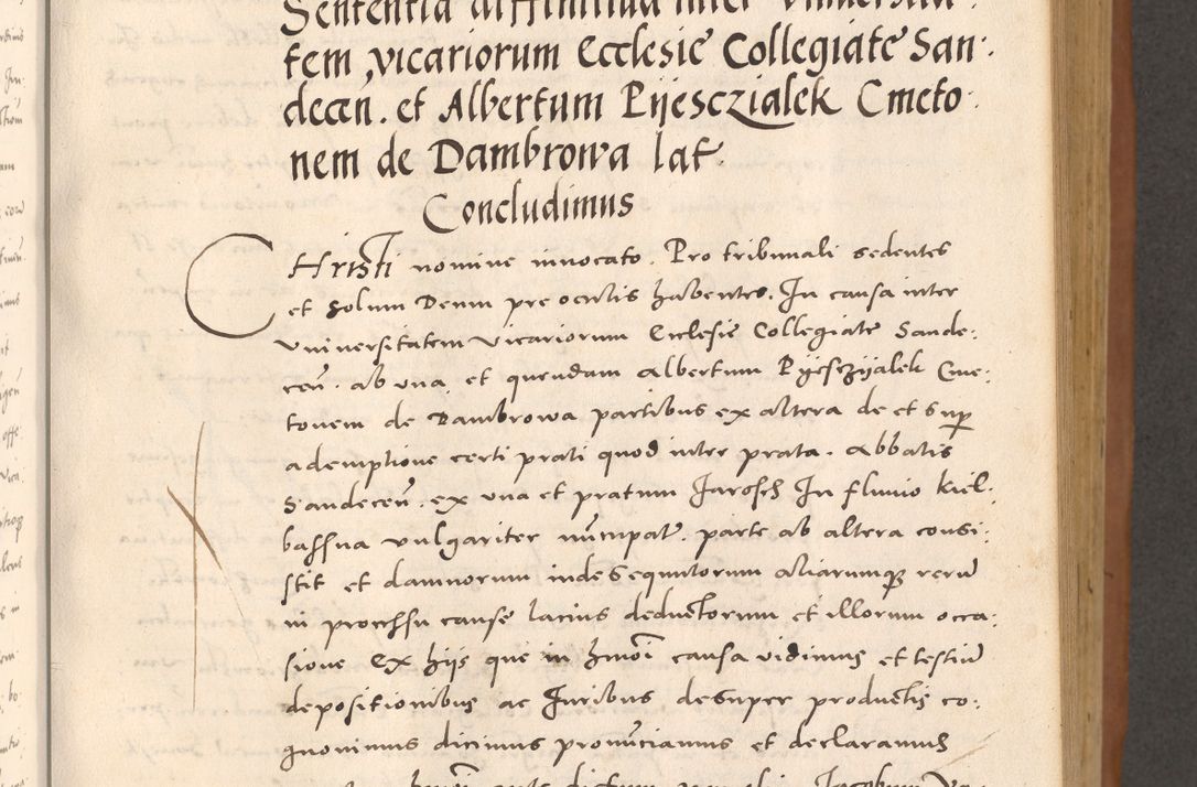 Zdjęcie nr 251 dla obiektu archiwalnego: Acta actorum causarum, sentenciarum tam diffinitivarum quam interloquutoriarum, decretorum, obligationum, quietationum et constitucionum procuratorum coram reverendo domino Bartholomeo Ganthkowsky cancellario Gnesnensi, archidiacono et reverendissimi in Christo patris domini Andree Dei gratia episcopi Cracoviensis vicario in spiritualibus generali Cracoviensi ad annum Domini millesimum quingentesimum quingentesimum primum, cuius indictio nona, pontificatus sanctissimi in Christo patris domini Julii divina providencia pape tercii, annus secundus (sic!) felici omine incipiutur.