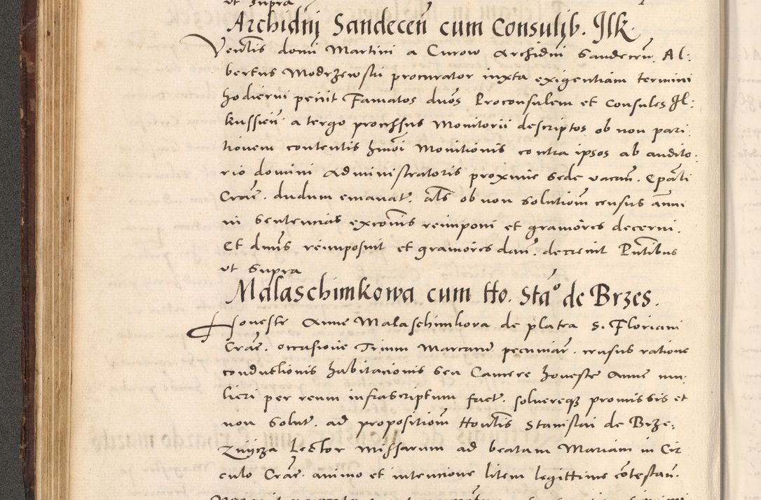 Zdjęcie nr 142 dla obiektu archiwalnego: Acta actorum causarum, sentenciarum tam diffinitivarum quam interloquutoriarum, decretorum, obligationum, quietationum et constitucionum procuratorum coram reverendo domino Bartholomeo Ganthkowsky cancellario Gnesnensi, archidiacono et reverendissimi in Christo patris domini Andree Dei gratia episcopi Cracoviensis vicario in spiritualibus generali Cracoviensi ad annum Domini millesimum quingentesimum quingentesimum primum, cuius indictio nona, pontificatus sanctissimi in Christo patris domini Julii divina providencia pape tercii, annus secundus (sic!) felici omine incipiutur.