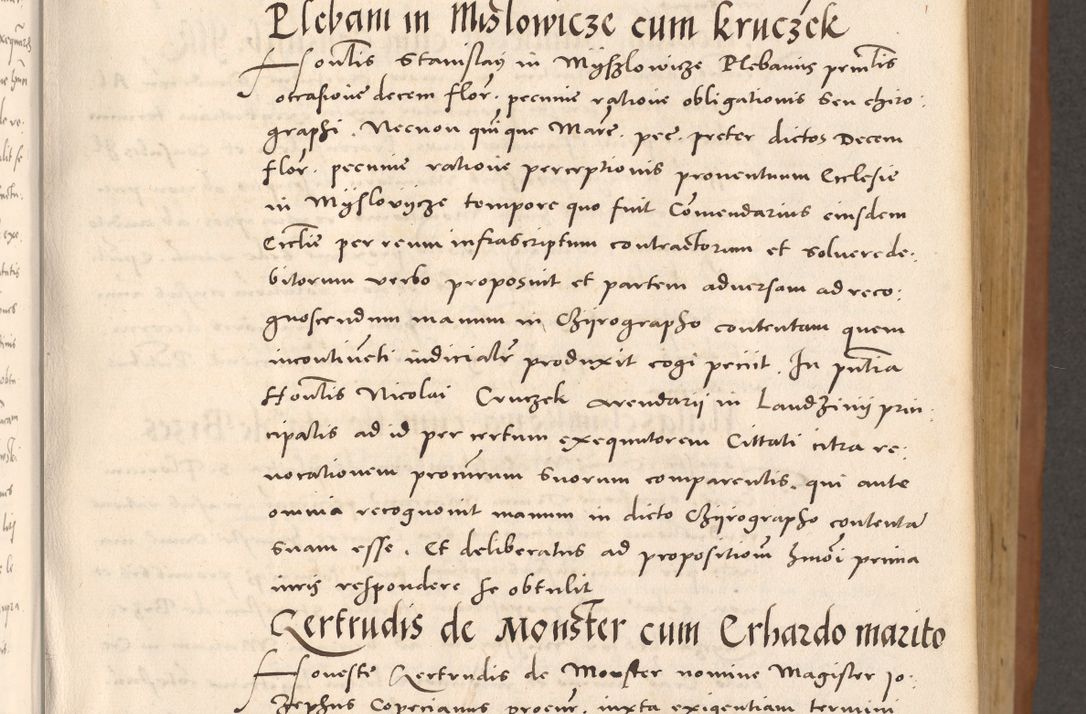 Zdjęcie nr 141 dla obiektu archiwalnego: Acta actorum causarum, sentenciarum tam diffinitivarum quam interloquutoriarum, decretorum, obligationum, quietationum et constitucionum procuratorum coram reverendo domino Bartholomeo Ganthkowsky cancellario Gnesnensi, archidiacono et reverendissimi in Christo patris domini Andree Dei gratia episcopi Cracoviensis vicario in spiritualibus generali Cracoviensi ad annum Domini millesimum quingentesimum quingentesimum primum, cuius indictio nona, pontificatus sanctissimi in Christo patris domini Julii divina providencia pape tercii, annus secundus (sic!) felici omine incipiutur.