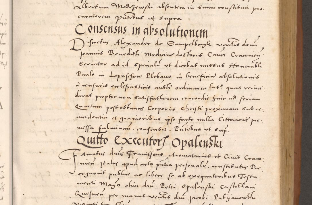 Zdjęcie nr 133 dla obiektu archiwalnego: Acta actorum causarum, sentenciarum tam diffinitivarum quam interloquutoriarum, decretorum, obligationum, quietationum et constitucionum procuratorum coram reverendo domino Bartholomeo Ganthkowsky cancellario Gnesnensi, archidiacono et reverendissimi in Christo patris domini Andree Dei gratia episcopi Cracoviensis vicario in spiritualibus generali Cracoviensi ad annum Domini millesimum quingentesimum quingentesimum primum, cuius indictio nona, pontificatus sanctissimi in Christo patris domini Julii divina providencia pape tercii, annus secundus (sic!) felici omine incipiutur.
