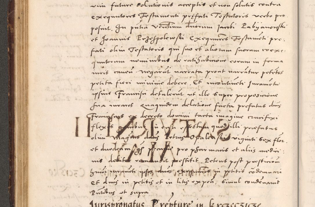 Zdjęcie nr 126 dla obiektu archiwalnego: Acta actorum causarum, sentenciarum tam diffinitivarum quam interloquutoriarum, decretorum, obligationum, quietationum et constitucionum procuratorum coram reverendo domino Bartholomeo Ganthkowsky cancellario Gnesnensi, archidiacono et reverendissimi in Christo patris domini Andree Dei gratia episcopi Cracoviensis vicario in spiritualibus generali Cracoviensi ad annum Domini millesimum quingentesimum quingentesimum primum, cuius indictio nona, pontificatus sanctissimi in Christo patris domini Julii divina providencia pape tercii, annus secundus (sic!) felici omine incipiutur.