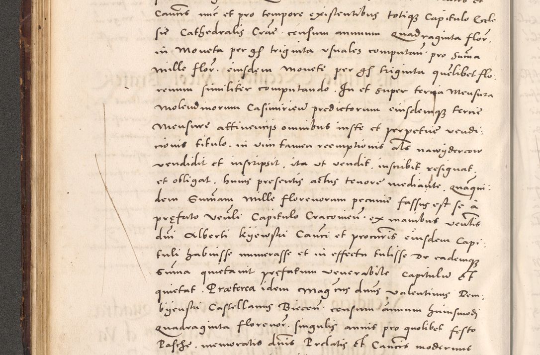 Zdjęcie nr 90 dla obiektu archiwalnego: Acta actorum causarum, sentenciarum tam diffinitivarum quam interloquutoriarum, decretorum, obligationum, quietationum et constitucionum procuratorum coram reverendo domino Bartholomeo Ganthkowsky cancellario Gnesnensi, archidiacono et reverendissimi in Christo patris domini Andree Dei gratia episcopi Cracoviensis vicario in spiritualibus generali Cracoviensi ad annum Domini millesimum quingentesimum quingentesimum primum, cuius indictio nona, pontificatus sanctissimi in Christo patris domini Julii divina providencia pape tercii, annus secundus (sic!) felici omine incipiutur.
