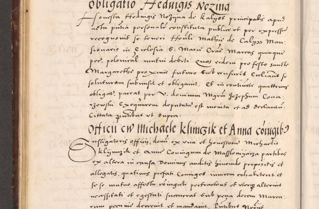 Zdjęcie nr 60 dla obiektu archiwalnego: Acta actorum causarum, sentenciarum tam diffinitivarum quam interloquutoriarum, decretorum, obligationum, quietationum et constitucionum procuratorum coram reverendo domino Bartholomeo Ganthkowsky cancellario Gnesnensi, archidiacono et reverendissimi in Christo patris domini Andree Dei gratia episcopi Cracoviensis vicario in spiritualibus generali Cracoviensi ad annum Domini millesimum quingentesimum quingentesimum primum, cuius indictio nona, pontificatus sanctissimi in Christo patris domini Julii divina providencia pape tercii, annus secundus (sic!) felici omine incipiutur.