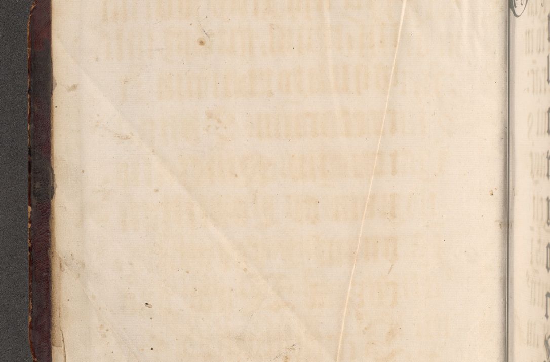 Zdjęcie nr 5 dla obiektu archiwalnego: Acta actorum causarum, sentenciarum tam diffinitivarum quam interloquutoriarum, decretorum, obligationum, quietationum et constitucionum procuratorum coram reverendo domino Bartholomeo Ganthkowski cancellario Gnesnensi, archidiacono et reverendissimi in Christo patris domini Andree Dei gratia episcopi Cracoviensis vicario in spiritualibus generali Cracoviensi ad annum Domini millesimum quingentesimum quingentesimum secundum, cuius indictio decima, pontificatus Julii pape tercii, annus tercius, foeliciter continuantur.