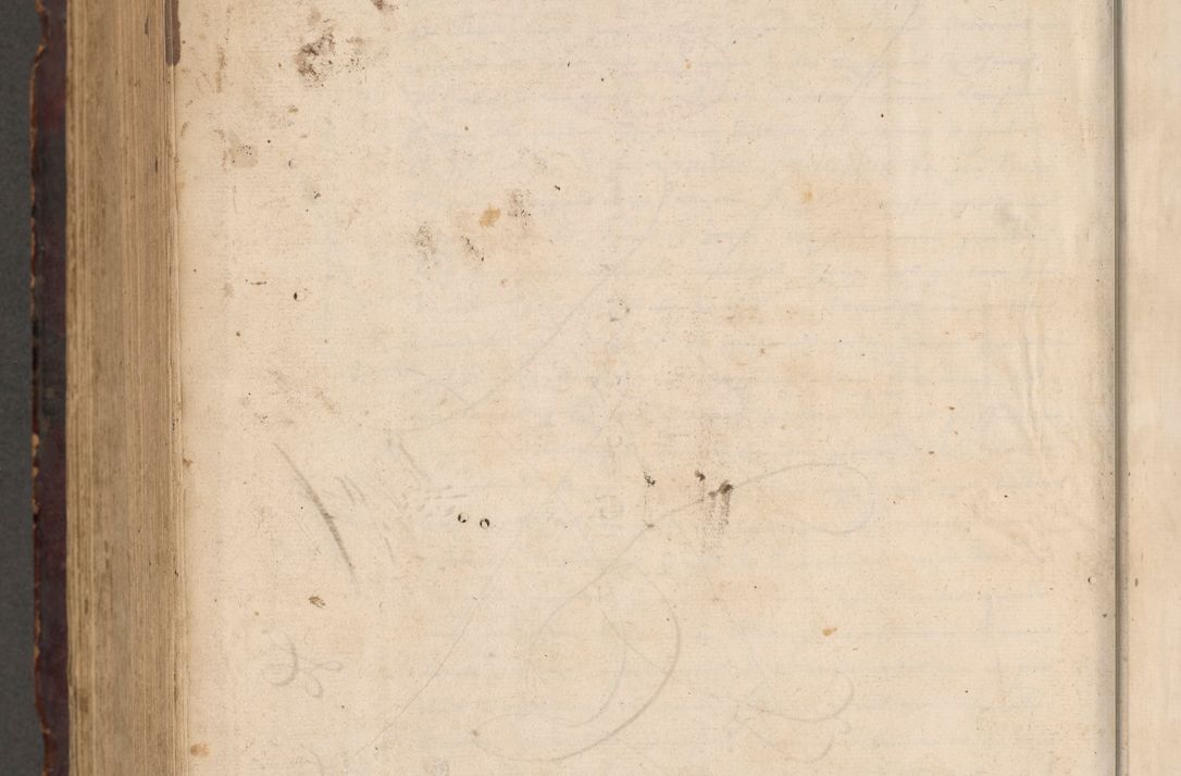 Zdjęcie nr 1192 dla obiektu archiwalnego: Acta actorum causarum, sentenciarum tam diffinitivarum quam interloquutoriarum, decretorum, obligationum, quietationum et constitucionum procuratorum coram reverendo domino Bartholomeo Ganthkowski cancellario Gnesnensi, archidiacono et reverendissimi in Christo patris domini Andree Dei gratia episcopi Cracoviensis vicario in spiritualibus generali Cracoviensi ad annum Domini millesimum quingentesimum quingentesimum secundum, cuius indictio decima, pontificatus Julii pape tercii, annus tercius, foeliciter continuantur.