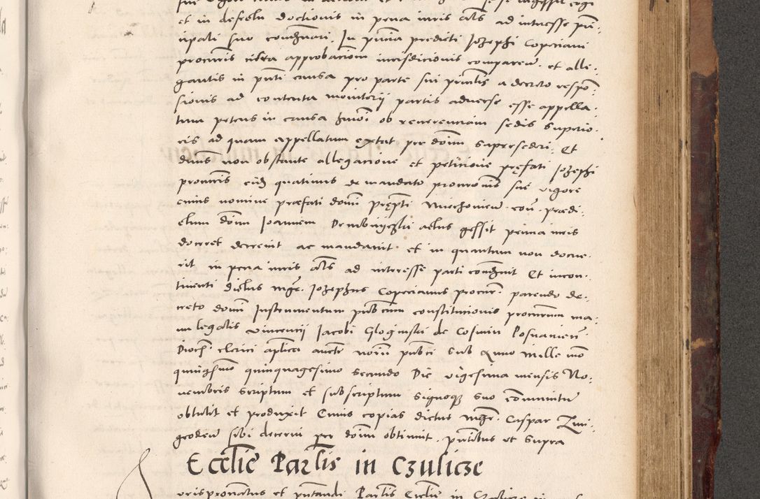 Zdjęcie nr 801 dla obiektu archiwalnego: Acta actorum causarum, sentenciarum tam diffinitivarum quam interloquutoriarum, decretorum, obligationum, quietationum et constitucionum procuratorum coram reverendo domino Bartholomeo Ganthkowski cancellario Gnesnensi, archidiacono et reverendissimi in Christo patris domini Andree Dei gratia episcopi Cracoviensis vicario in spiritualibus generali Cracoviensi ad annum Domini millesimum quingentesimum quingentesimum secundum, cuius indictio decima, pontificatus Julii pape tercii, annus tercius, foeliciter continuantur.