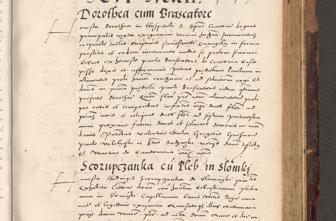 Zdjęcie nr 795 dla obiektu archiwalnego: Acta actorum causarum, sentenciarum tam diffinitivarum quam interloquutoriarum, decretorum, obligationum, quietationum et constitucionum procuratorum coram reverendo domino Bartholomeo Ganthkowski cancellario Gnesnensi, archidiacono et reverendissimi in Christo patris domini Andree Dei gratia episcopi Cracoviensis vicario in spiritualibus generali Cracoviensi ad annum Domini millesimum quingentesimum quingentesimum secundum, cuius indictio decima, pontificatus Julii pape tercii, annus tercius, foeliciter continuantur.