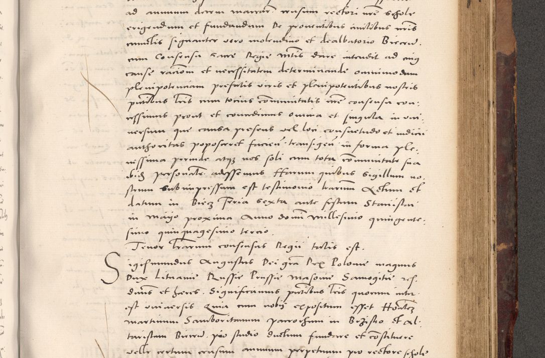 Zdjęcie nr 793 dla obiektu archiwalnego: Acta actorum causarum, sentenciarum tam diffinitivarum quam interloquutoriarum, decretorum, obligationum, quietationum et constitucionum procuratorum coram reverendo domino Bartholomeo Ganthkowski cancellario Gnesnensi, archidiacono et reverendissimi in Christo patris domini Andree Dei gratia episcopi Cracoviensis vicario in spiritualibus generali Cracoviensi ad annum Domini millesimum quingentesimum quingentesimum secundum, cuius indictio decima, pontificatus Julii pape tercii, annus tercius, foeliciter continuantur.