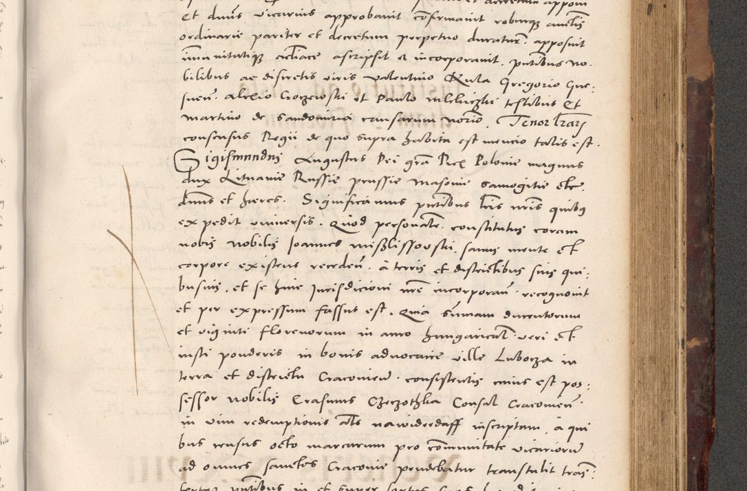 Zdjęcie nr 757 dla obiektu archiwalnego: Acta actorum causarum, sentenciarum tam diffinitivarum quam interloquutoriarum, decretorum, obligationum, quietationum et constitucionum procuratorum coram reverendo domino Bartholomeo Ganthkowski cancellario Gnesnensi, archidiacono et reverendissimi in Christo patris domini Andree Dei gratia episcopi Cracoviensis vicario in spiritualibus generali Cracoviensi ad annum Domini millesimum quingentesimum quingentesimum secundum, cuius indictio decima, pontificatus Julii pape tercii, annus tercius, foeliciter continuantur.