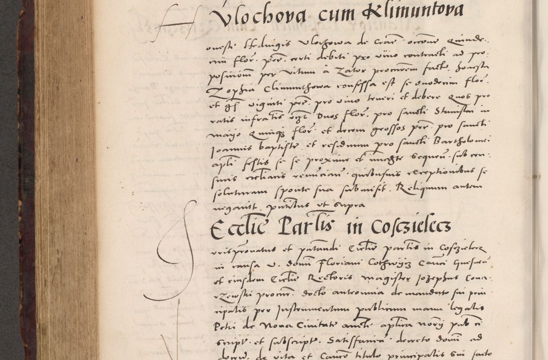 Zdjęcie nr 722 dla obiektu archiwalnego: Acta actorum causarum, sentenciarum tam diffinitivarum quam interloquutoriarum, decretorum, obligationum, quietationum et constitucionum procuratorum coram reverendo domino Bartholomeo Ganthkowski cancellario Gnesnensi, archidiacono et reverendissimi in Christo patris domini Andree Dei gratia episcopi Cracoviensis vicario in spiritualibus generali Cracoviensi ad annum Domini millesimum quingentesimum quingentesimum secundum, cuius indictio decima, pontificatus Julii pape tercii, annus tercius, foeliciter continuantur.