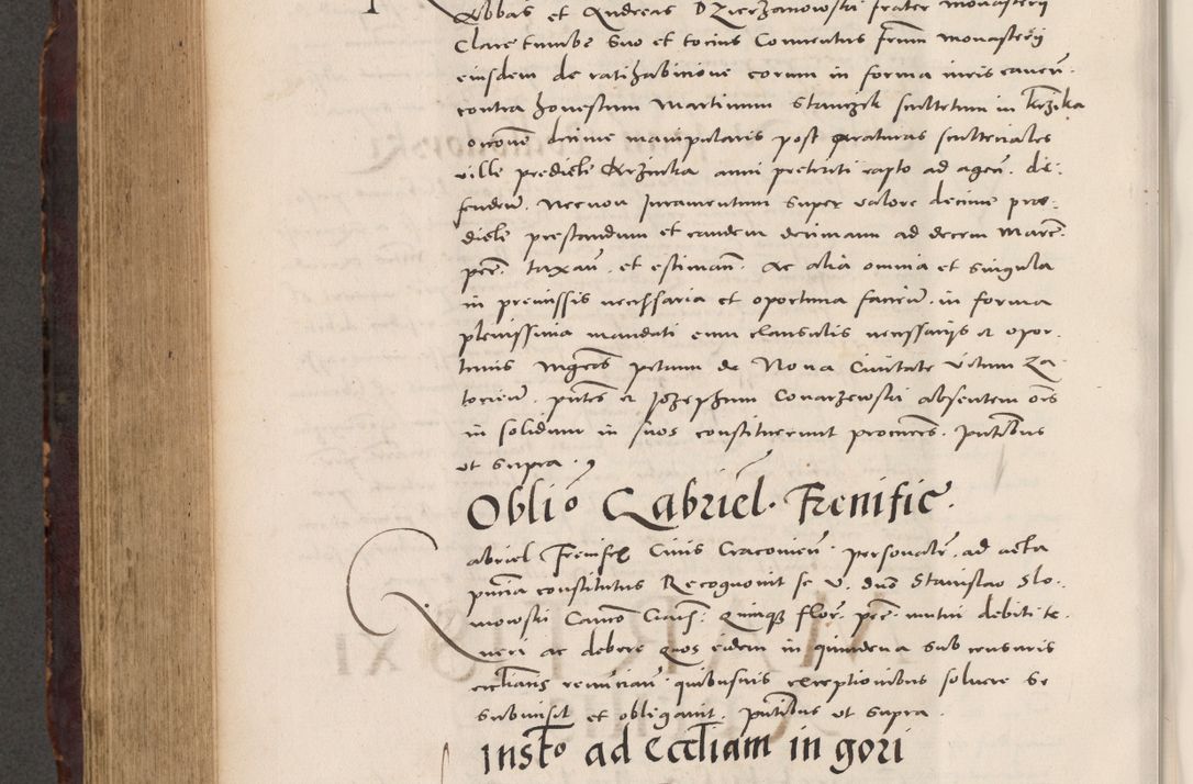 Zdjęcie nr 718 dla obiektu archiwalnego: Acta actorum causarum, sentenciarum tam diffinitivarum quam interloquutoriarum, decretorum, obligationum, quietationum et constitucionum procuratorum coram reverendo domino Bartholomeo Ganthkowski cancellario Gnesnensi, archidiacono et reverendissimi in Christo patris domini Andree Dei gratia episcopi Cracoviensis vicario in spiritualibus generali Cracoviensi ad annum Domini millesimum quingentesimum quingentesimum secundum, cuius indictio decima, pontificatus Julii pape tercii, annus tercius, foeliciter continuantur.