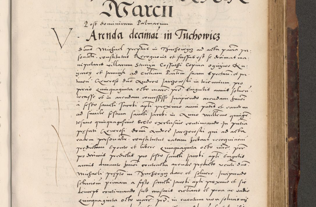 Zdjęcie nr 707 dla obiektu archiwalnego: Acta actorum causarum, sentenciarum tam diffinitivarum quam interloquutoriarum, decretorum, obligationum, quietationum et constitucionum procuratorum coram reverendo domino Bartholomeo Ganthkowski cancellario Gnesnensi, archidiacono et reverendissimi in Christo patris domini Andree Dei gratia episcopi Cracoviensis vicario in spiritualibus generali Cracoviensi ad annum Domini millesimum quingentesimum quingentesimum secundum, cuius indictio decima, pontificatus Julii pape tercii, annus tercius, foeliciter continuantur.