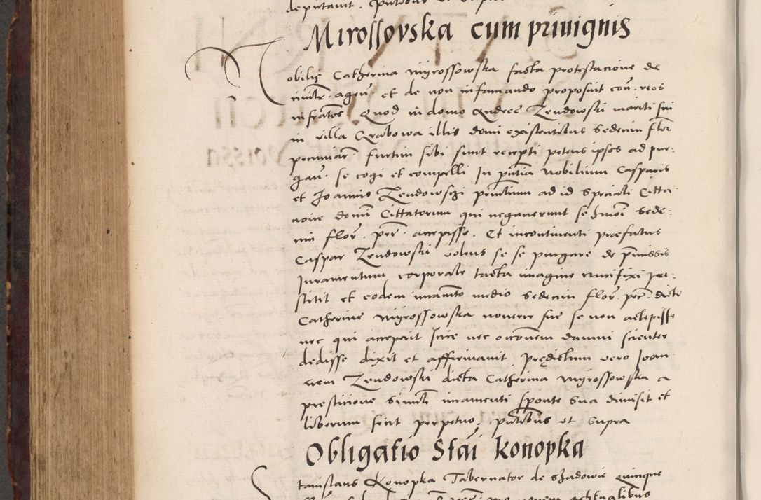 Zdjęcie nr 662 dla obiektu archiwalnego: Acta actorum causarum, sentenciarum tam diffinitivarum quam interloquutoriarum, decretorum, obligationum, quietationum et constitucionum procuratorum coram reverendo domino Bartholomeo Ganthkowski cancellario Gnesnensi, archidiacono et reverendissimi in Christo patris domini Andree Dei gratia episcopi Cracoviensis vicario in spiritualibus generali Cracoviensi ad annum Domini millesimum quingentesimum quingentesimum secundum, cuius indictio decima, pontificatus Julii pape tercii, annus tercius, foeliciter continuantur.
