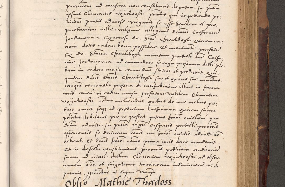 Zdjęcie nr 629 dla obiektu archiwalnego: Acta actorum causarum, sentenciarum tam diffinitivarum quam interloquutoriarum, decretorum, obligationum, quietationum et constitucionum procuratorum coram reverendo domino Bartholomeo Ganthkowski cancellario Gnesnensi, archidiacono et reverendissimi in Christo patris domini Andree Dei gratia episcopi Cracoviensis vicario in spiritualibus generali Cracoviensi ad annum Domini millesimum quingentesimum quingentesimum secundum, cuius indictio decima, pontificatus Julii pape tercii, annus tercius, foeliciter continuantur.