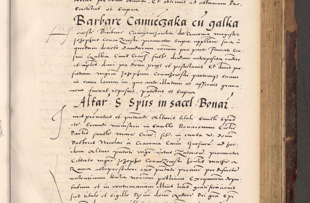 Zdjęcie nr 569 dla obiektu archiwalnego: Acta actorum causarum, sentenciarum tam diffinitivarum quam interloquutoriarum, decretorum, obligationum, quietationum et constitucionum procuratorum coram reverendo domino Bartholomeo Ganthkowski cancellario Gnesnensi, archidiacono et reverendissimi in Christo patris domini Andree Dei gratia episcopi Cracoviensis vicario in spiritualibus generali Cracoviensi ad annum Domini millesimum quingentesimum quingentesimum secundum, cuius indictio decima, pontificatus Julii pape tercii, annus tercius, foeliciter continuantur.
