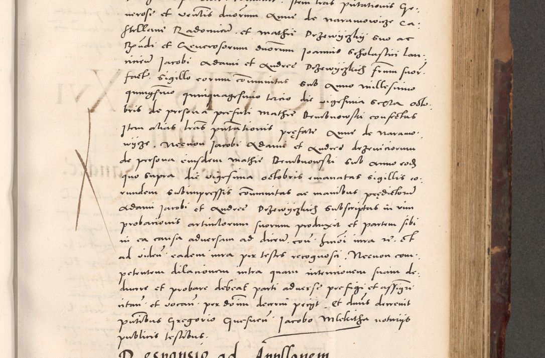 Zdjęcie nr 519 dla obiektu archiwalnego: Acta actorum causarum, sentenciarum tam diffinitivarum quam interloquutoriarum, decretorum, obligationum, quietationum et constitucionum procuratorum coram reverendo domino Bartholomeo Ganthkowski cancellario Gnesnensi, archidiacono et reverendissimi in Christo patris domini Andree Dei gratia episcopi Cracoviensis vicario in spiritualibus generali Cracoviensi ad annum Domini millesimum quingentesimum quingentesimum secundum, cuius indictio decima, pontificatus Julii pape tercii, annus tercius, foeliciter continuantur.