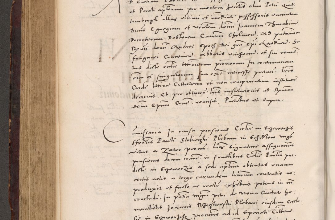 Zdjęcie nr 490 dla obiektu archiwalnego: Acta actorum causarum, sentenciarum tam diffinitivarum quam interloquutoriarum, decretorum, obligationum, quietationum et constitucionum procuratorum coram reverendo domino Bartholomeo Ganthkowski cancellario Gnesnensi, archidiacono et reverendissimi in Christo patris domini Andree Dei gratia episcopi Cracoviensis vicario in spiritualibus generali Cracoviensi ad annum Domini millesimum quingentesimum quingentesimum secundum, cuius indictio decima, pontificatus Julii pape tercii, annus tercius, foeliciter continuantur.