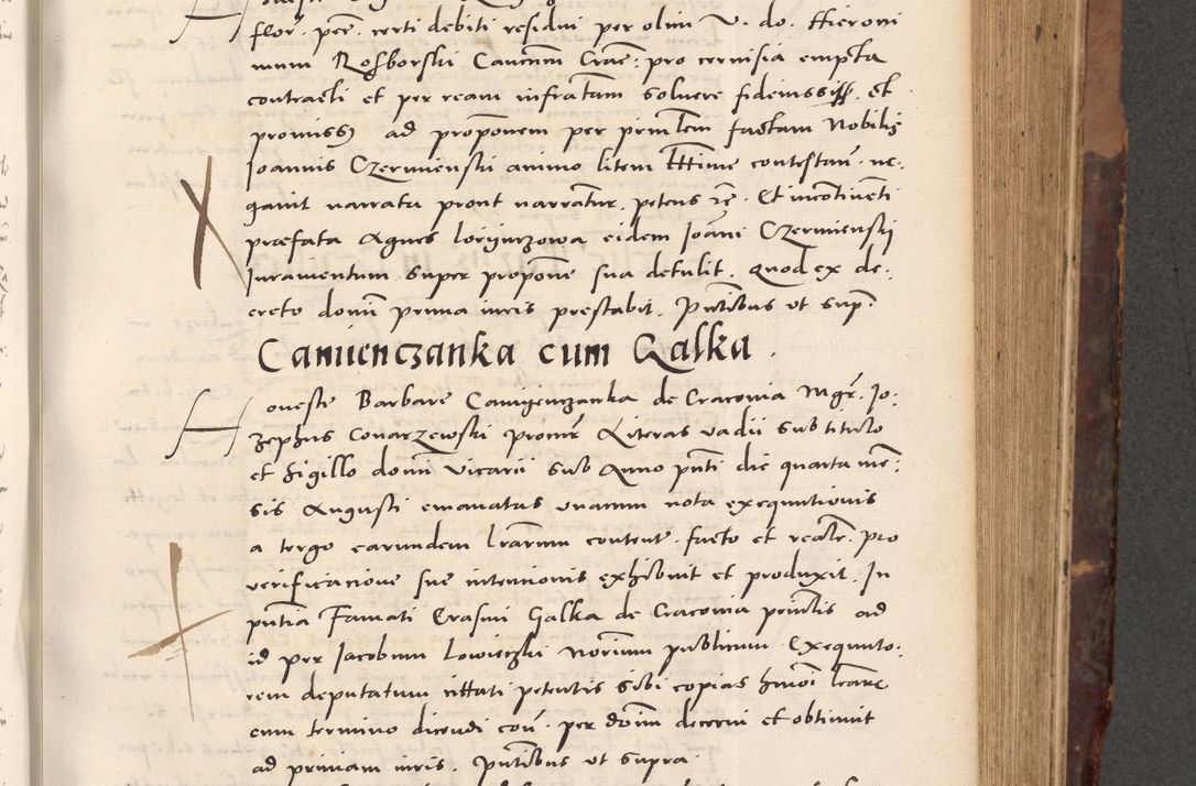 Zdjęcie nr 445 dla obiektu archiwalnego: Acta actorum causarum, sentenciarum tam diffinitivarum quam interloquutoriarum, decretorum, obligationum, quietationum et constitucionum procuratorum coram reverendo domino Bartholomeo Ganthkowski cancellario Gnesnensi, archidiacono et reverendissimi in Christo patris domini Andree Dei gratia episcopi Cracoviensis vicario in spiritualibus generali Cracoviensi ad annum Domini millesimum quingentesimum quingentesimum secundum, cuius indictio decima, pontificatus Julii pape tercii, annus tercius, foeliciter continuantur.