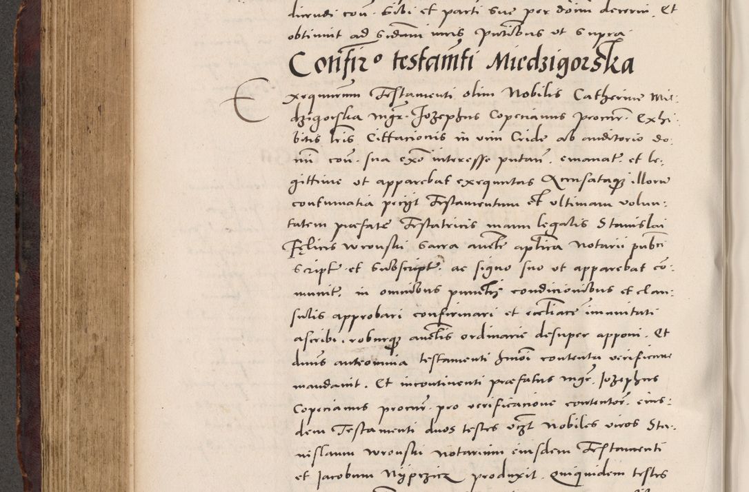 Zdjęcie nr 426 dla obiektu archiwalnego: Acta actorum causarum, sentenciarum tam diffinitivarum quam interloquutoriarum, decretorum, obligationum, quietationum et constitucionum procuratorum coram reverendo domino Bartholomeo Ganthkowski cancellario Gnesnensi, archidiacono et reverendissimi in Christo patris domini Andree Dei gratia episcopi Cracoviensis vicario in spiritualibus generali Cracoviensi ad annum Domini millesimum quingentesimum quingentesimum secundum, cuius indictio decima, pontificatus Julii pape tercii, annus tercius, foeliciter continuantur.