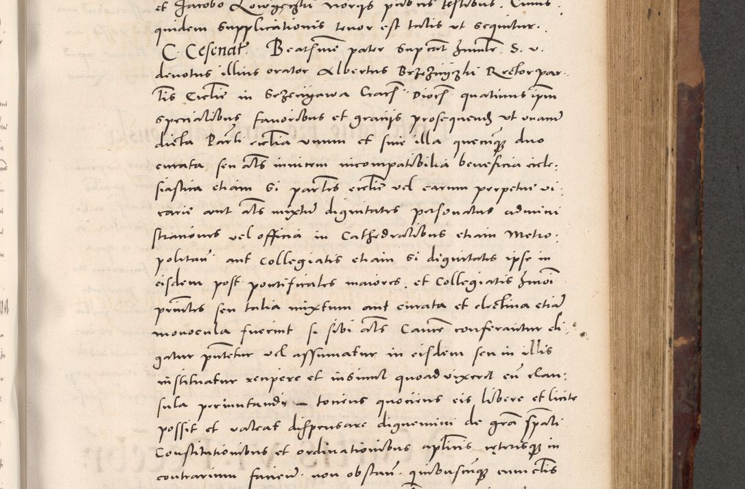 Zdjęcie nr 419 dla obiektu archiwalnego: Acta actorum causarum, sentenciarum tam diffinitivarum quam interloquutoriarum, decretorum, obligationum, quietationum et constitucionum procuratorum coram reverendo domino Bartholomeo Ganthkowski cancellario Gnesnensi, archidiacono et reverendissimi in Christo patris domini Andree Dei gratia episcopi Cracoviensis vicario in spiritualibus generali Cracoviensi ad annum Domini millesimum quingentesimum quingentesimum secundum, cuius indictio decima, pontificatus Julii pape tercii, annus tercius, foeliciter continuantur.