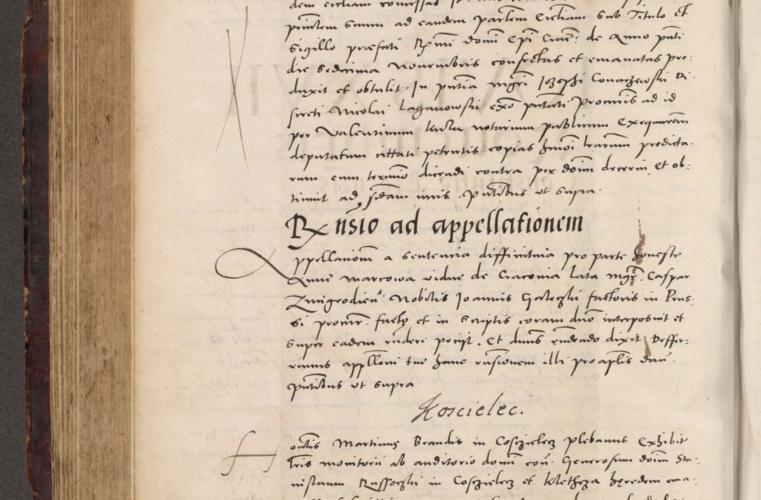 Zdjęcie nr 392 dla obiektu archiwalnego: Acta actorum causarum, sentenciarum tam diffinitivarum quam interloquutoriarum, decretorum, obligationum, quietationum et constitucionum procuratorum coram reverendo domino Bartholomeo Ganthkowski cancellario Gnesnensi, archidiacono et reverendissimi in Christo patris domini Andree Dei gratia episcopi Cracoviensis vicario in spiritualibus generali Cracoviensi ad annum Domini millesimum quingentesimum quingentesimum secundum, cuius indictio decima, pontificatus Julii pape tercii, annus tercius, foeliciter continuantur.