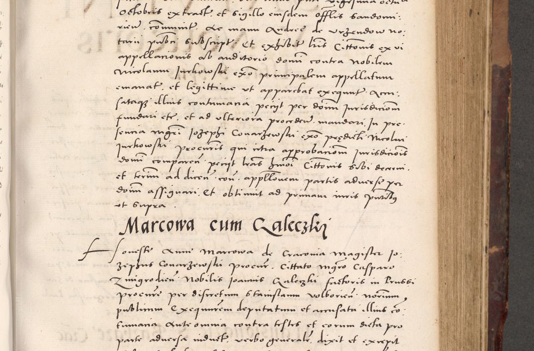 Zdjęcie nr 373 dla obiektu archiwalnego: Acta actorum causarum, sentenciarum tam diffinitivarum quam interloquutoriarum, decretorum, obligationum, quietationum et constitucionum procuratorum coram reverendo domino Bartholomeo Ganthkowski cancellario Gnesnensi, archidiacono et reverendissimi in Christo patris domini Andree Dei gratia episcopi Cracoviensis vicario in spiritualibus generali Cracoviensi ad annum Domini millesimum quingentesimum quingentesimum secundum, cuius indictio decima, pontificatus Julii pape tercii, annus tercius, foeliciter continuantur.