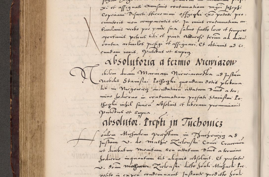 Zdjęcie nr 358 dla obiektu archiwalnego: Acta actorum causarum, sentenciarum tam diffinitivarum quam interloquutoriarum, decretorum, obligationum, quietationum et constitucionum procuratorum coram reverendo domino Bartholomeo Ganthkowski cancellario Gnesnensi, archidiacono et reverendissimi in Christo patris domini Andree Dei gratia episcopi Cracoviensis vicario in spiritualibus generali Cracoviensi ad annum Domini millesimum quingentesimum quingentesimum secundum, cuius indictio decima, pontificatus Julii pape tercii, annus tercius, foeliciter continuantur.