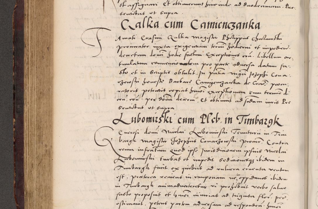 Zdjęcie nr 344 dla obiektu archiwalnego: Acta actorum causarum, sentenciarum tam diffinitivarum quam interloquutoriarum, decretorum, obligationum, quietationum et constitucionum procuratorum coram reverendo domino Bartholomeo Ganthkowski cancellario Gnesnensi, archidiacono et reverendissimi in Christo patris domini Andree Dei gratia episcopi Cracoviensis vicario in spiritualibus generali Cracoviensi ad annum Domini millesimum quingentesimum quingentesimum secundum, cuius indictio decima, pontificatus Julii pape tercii, annus tercius, foeliciter continuantur.
