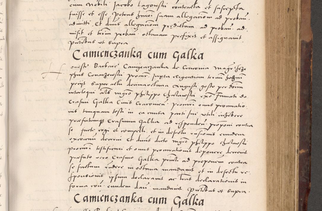 Zdjęcie nr 341 dla obiektu archiwalnego: Acta actorum causarum, sentenciarum tam diffinitivarum quam interloquutoriarum, decretorum, obligationum, quietationum et constitucionum procuratorum coram reverendo domino Bartholomeo Ganthkowski cancellario Gnesnensi, archidiacono et reverendissimi in Christo patris domini Andree Dei gratia episcopi Cracoviensis vicario in spiritualibus generali Cracoviensi ad annum Domini millesimum quingentesimum quingentesimum secundum, cuius indictio decima, pontificatus Julii pape tercii, annus tercius, foeliciter continuantur.