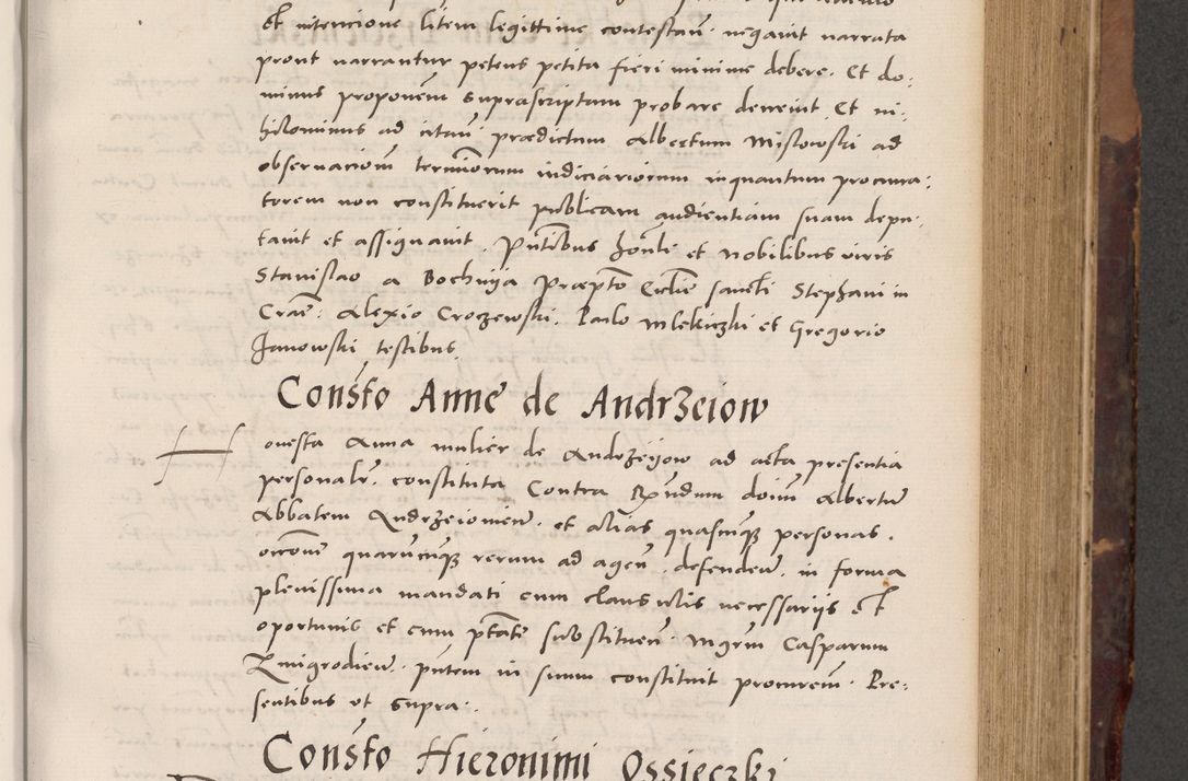 Zdjęcie nr 333 dla obiektu archiwalnego: Acta actorum causarum, sentenciarum tam diffinitivarum quam interloquutoriarum, decretorum, obligationum, quietationum et constitucionum procuratorum coram reverendo domino Bartholomeo Ganthkowski cancellario Gnesnensi, archidiacono et reverendissimi in Christo patris domini Andree Dei gratia episcopi Cracoviensis vicario in spiritualibus generali Cracoviensi ad annum Domini millesimum quingentesimum quingentesimum secundum, cuius indictio decima, pontificatus Julii pape tercii, annus tercius, foeliciter continuantur.