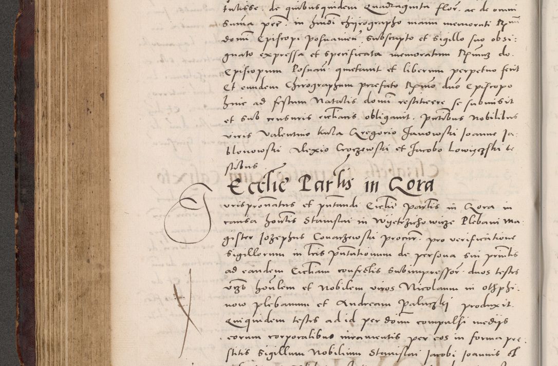 Zdjęcie nr 318 dla obiektu archiwalnego: Acta actorum causarum, sentenciarum tam diffinitivarum quam interloquutoriarum, decretorum, obligationum, quietationum et constitucionum procuratorum coram reverendo domino Bartholomeo Ganthkowski cancellario Gnesnensi, archidiacono et reverendissimi in Christo patris domini Andree Dei gratia episcopi Cracoviensis vicario in spiritualibus generali Cracoviensi ad annum Domini millesimum quingentesimum quingentesimum secundum, cuius indictio decima, pontificatus Julii pape tercii, annus tercius, foeliciter continuantur.