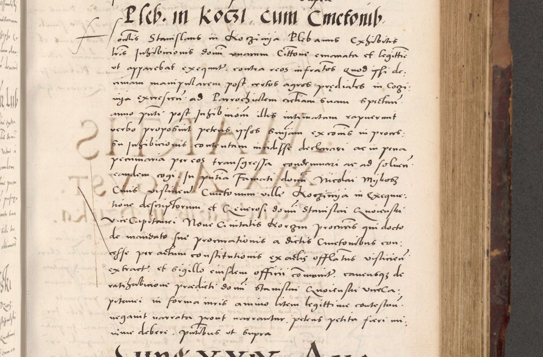Zdjęcie nr 307 dla obiektu archiwalnego: Acta actorum causarum, sentenciarum tam diffinitivarum quam interloquutoriarum, decretorum, obligationum, quietationum et constitucionum procuratorum coram reverendo domino Bartholomeo Ganthkowski cancellario Gnesnensi, archidiacono et reverendissimi in Christo patris domini Andree Dei gratia episcopi Cracoviensis vicario in spiritualibus generali Cracoviensi ad annum Domini millesimum quingentesimum quingentesimum secundum, cuius indictio decima, pontificatus Julii pape tercii, annus tercius, foeliciter continuantur.