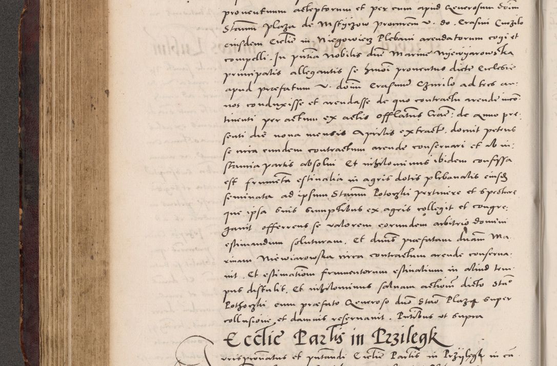 Zdjęcie nr 296 dla obiektu archiwalnego: Acta actorum causarum, sentenciarum tam diffinitivarum quam interloquutoriarum, decretorum, obligationum, quietationum et constitucionum procuratorum coram reverendo domino Bartholomeo Ganthkowski cancellario Gnesnensi, archidiacono et reverendissimi in Christo patris domini Andree Dei gratia episcopi Cracoviensis vicario in spiritualibus generali Cracoviensi ad annum Domini millesimum quingentesimum quingentesimum secundum, cuius indictio decima, pontificatus Julii pape tercii, annus tercius, foeliciter continuantur.