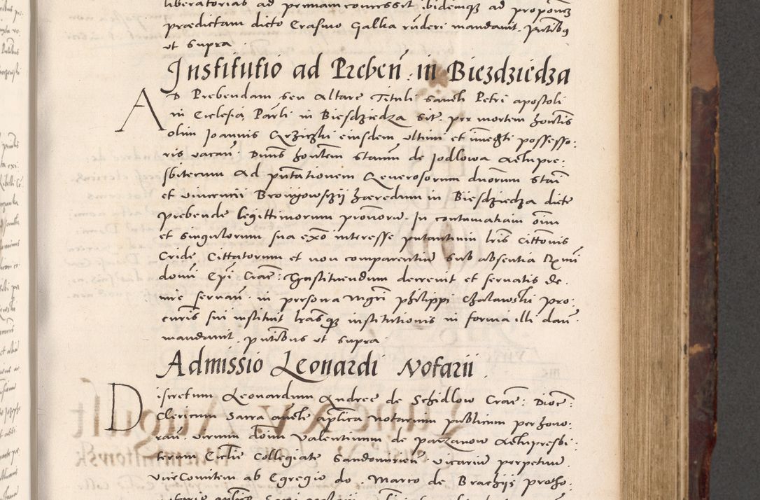 Zdjęcie nr 285 dla obiektu archiwalnego: Acta actorum causarum, sentenciarum tam diffinitivarum quam interloquutoriarum, decretorum, obligationum, quietationum et constitucionum procuratorum coram reverendo domino Bartholomeo Ganthkowski cancellario Gnesnensi, archidiacono et reverendissimi in Christo patris domini Andree Dei gratia episcopi Cracoviensis vicario in spiritualibus generali Cracoviensi ad annum Domini millesimum quingentesimum quingentesimum secundum, cuius indictio decima, pontificatus Julii pape tercii, annus tercius, foeliciter continuantur.
