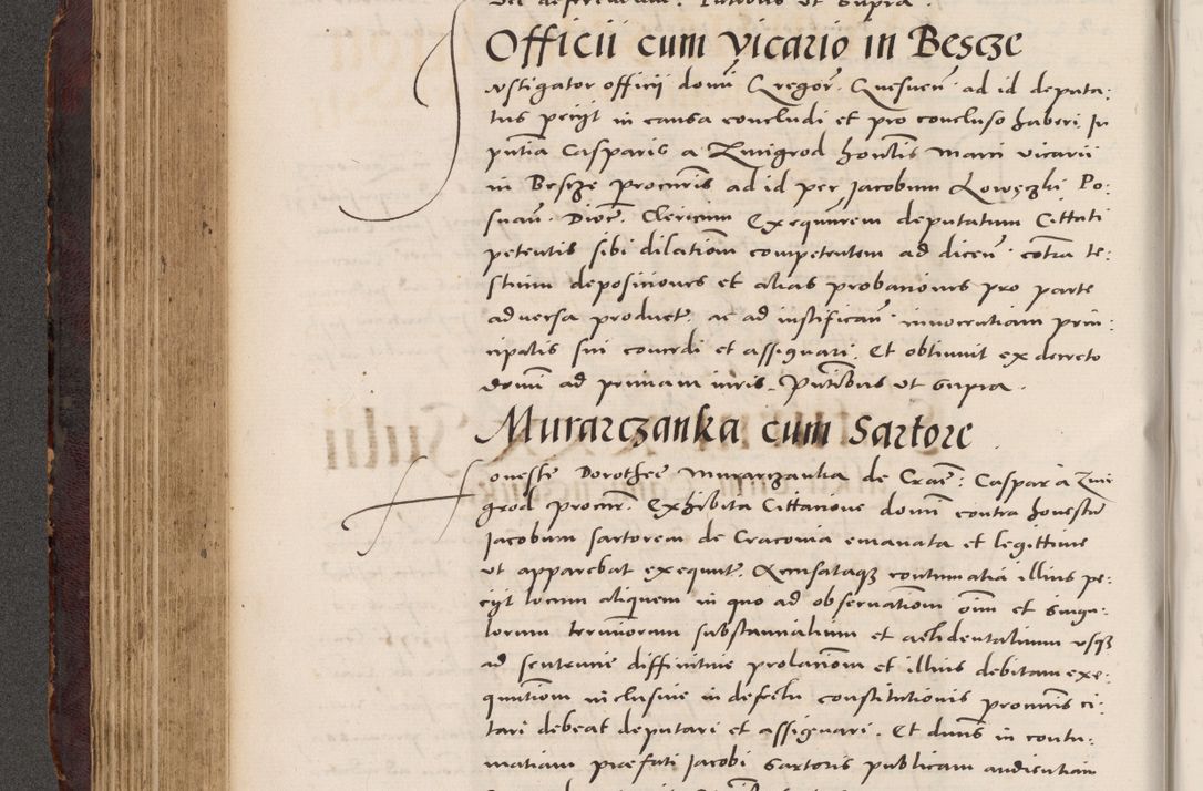 Zdjęcie nr 276 dla obiektu archiwalnego: Acta actorum causarum, sentenciarum tam diffinitivarum quam interloquutoriarum, decretorum, obligationum, quietationum et constitucionum procuratorum coram reverendo domino Bartholomeo Ganthkowski cancellario Gnesnensi, archidiacono et reverendissimi in Christo patris domini Andree Dei gratia episcopi Cracoviensis vicario in spiritualibus generali Cracoviensi ad annum Domini millesimum quingentesimum quingentesimum secundum, cuius indictio decima, pontificatus Julii pape tercii, annus tercius, foeliciter continuantur.