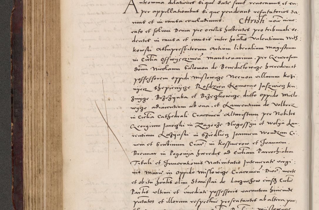 Zdjęcie nr 228 dla obiektu archiwalnego: Acta actorum causarum, sentenciarum tam diffinitivarum quam interloquutoriarum, decretorum, obligationum, quietationum et constitucionum procuratorum coram reverendo domino Bartholomeo Ganthkowski cancellario Gnesnensi, archidiacono et reverendissimi in Christo patris domini Andree Dei gratia episcopi Cracoviensis vicario in spiritualibus generali Cracoviensi ad annum Domini millesimum quingentesimum quingentesimum secundum, cuius indictio decima, pontificatus Julii pape tercii, annus tercius, foeliciter continuantur.