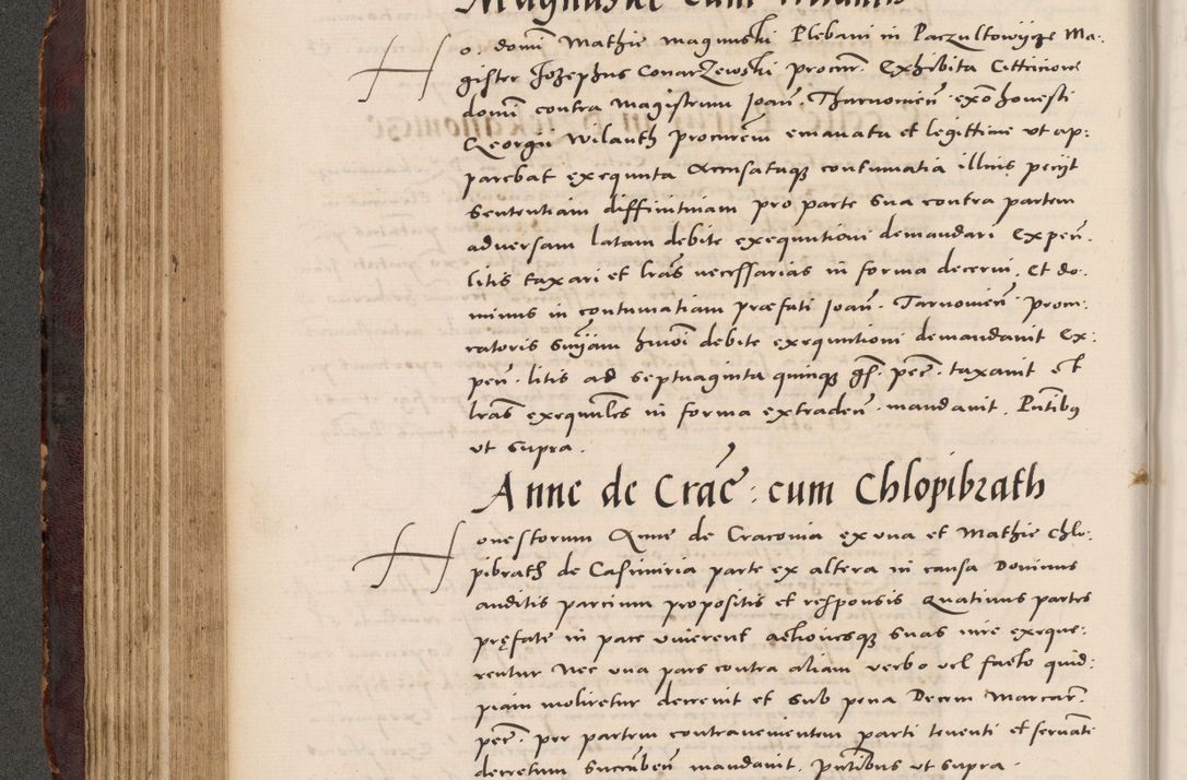 Zdjęcie nr 224 dla obiektu archiwalnego: Acta actorum causarum, sentenciarum tam diffinitivarum quam interloquutoriarum, decretorum, obligationum, quietationum et constitucionum procuratorum coram reverendo domino Bartholomeo Ganthkowski cancellario Gnesnensi, archidiacono et reverendissimi in Christo patris domini Andree Dei gratia episcopi Cracoviensis vicario in spiritualibus generali Cracoviensi ad annum Domini millesimum quingentesimum quingentesimum secundum, cuius indictio decima, pontificatus Julii pape tercii, annus tercius, foeliciter continuantur.