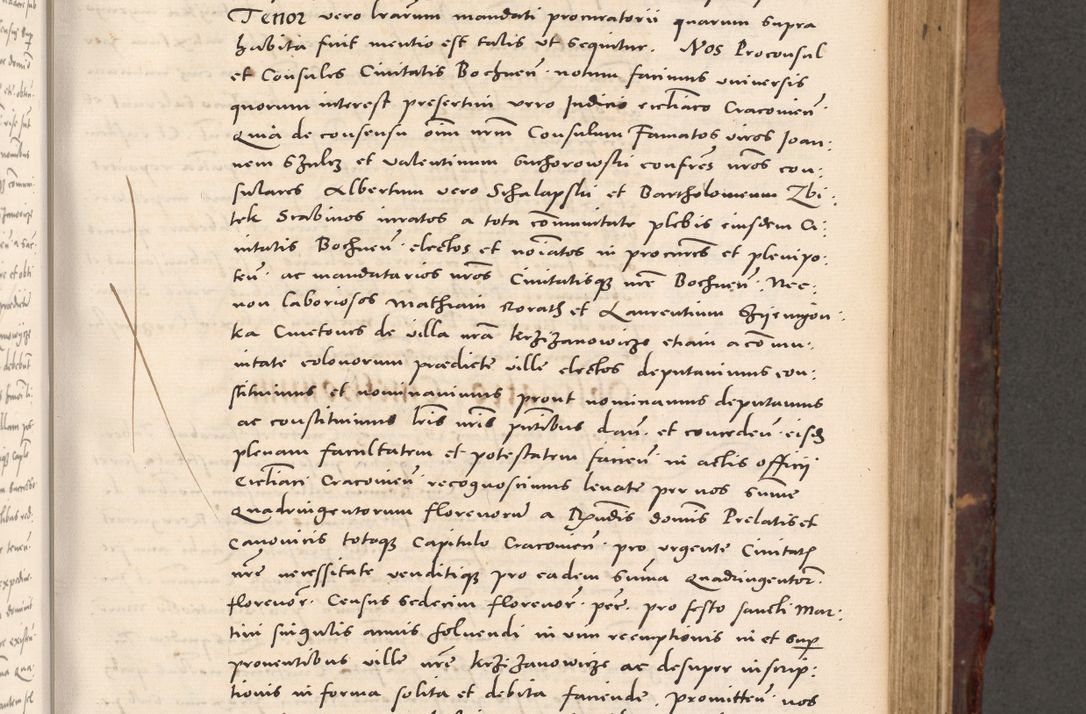 Zdjęcie nr 217 dla obiektu archiwalnego: Acta actorum causarum, sentenciarum tam diffinitivarum quam interloquutoriarum, decretorum, obligationum, quietationum et constitucionum procuratorum coram reverendo domino Bartholomeo Ganthkowski cancellario Gnesnensi, archidiacono et reverendissimi in Christo patris domini Andree Dei gratia episcopi Cracoviensis vicario in spiritualibus generali Cracoviensi ad annum Domini millesimum quingentesimum quingentesimum secundum, cuius indictio decima, pontificatus Julii pape tercii, annus tercius, foeliciter continuantur.