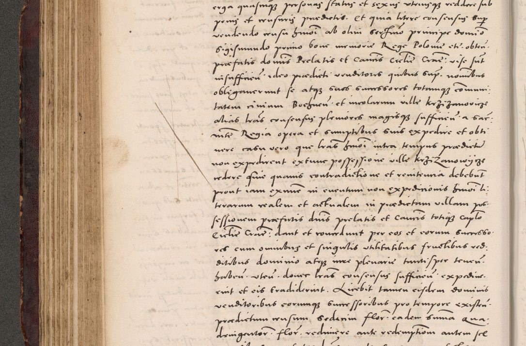 Zdjęcie nr 216 dla obiektu archiwalnego: Acta actorum causarum, sentenciarum tam diffinitivarum quam interloquutoriarum, decretorum, obligationum, quietationum et constitucionum procuratorum coram reverendo domino Bartholomeo Ganthkowski cancellario Gnesnensi, archidiacono et reverendissimi in Christo patris domini Andree Dei gratia episcopi Cracoviensis vicario in spiritualibus generali Cracoviensi ad annum Domini millesimum quingentesimum quingentesimum secundum, cuius indictio decima, pontificatus Julii pape tercii, annus tercius, foeliciter continuantur.