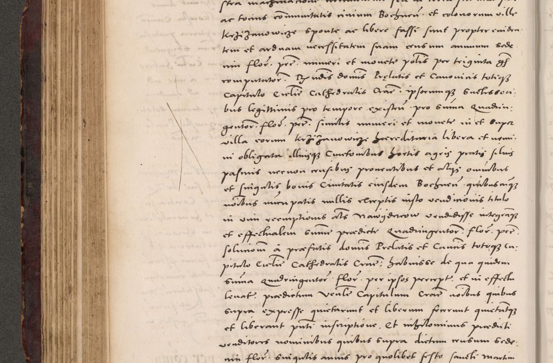 Zdjęcie nr 214 dla obiektu archiwalnego: Acta actorum causarum, sentenciarum tam diffinitivarum quam interloquutoriarum, decretorum, obligationum, quietationum et constitucionum procuratorum coram reverendo domino Bartholomeo Ganthkowski cancellario Gnesnensi, archidiacono et reverendissimi in Christo patris domini Andree Dei gratia episcopi Cracoviensis vicario in spiritualibus generali Cracoviensi ad annum Domini millesimum quingentesimum quingentesimum secundum, cuius indictio decima, pontificatus Julii pape tercii, annus tercius, foeliciter continuantur.