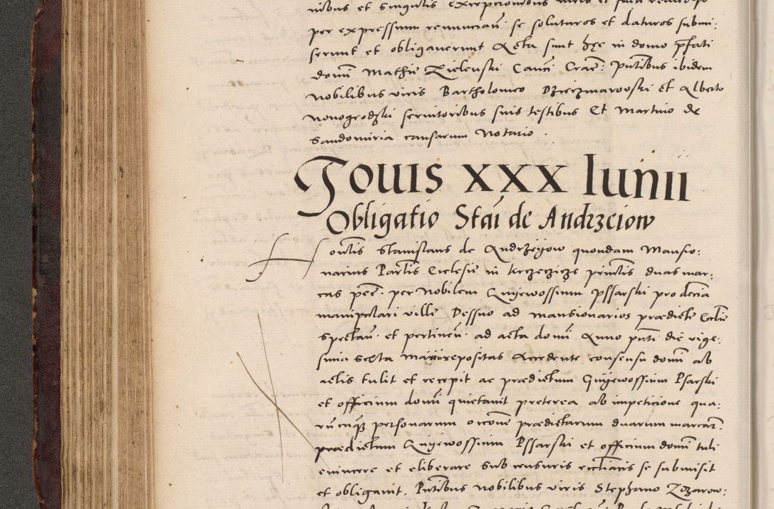 Zdjęcie nr 206 dla obiektu archiwalnego: Acta actorum causarum, sentenciarum tam diffinitivarum quam interloquutoriarum, decretorum, obligationum, quietationum et constitucionum procuratorum coram reverendo domino Bartholomeo Ganthkowski cancellario Gnesnensi, archidiacono et reverendissimi in Christo patris domini Andree Dei gratia episcopi Cracoviensis vicario in spiritualibus generali Cracoviensi ad annum Domini millesimum quingentesimum quingentesimum secundum, cuius indictio decima, pontificatus Julii pape tercii, annus tercius, foeliciter continuantur.