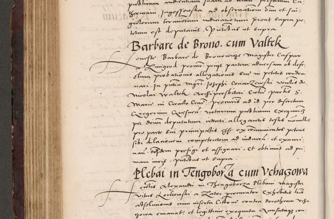 Zdjęcie nr 202 dla obiektu archiwalnego: Acta actorum causarum, sentenciarum tam diffinitivarum quam interloquutoriarum, decretorum, obligationum, quietationum et constitucionum procuratorum coram reverendo domino Bartholomeo Ganthkowski cancellario Gnesnensi, archidiacono et reverendissimi in Christo patris domini Andree Dei gratia episcopi Cracoviensis vicario in spiritualibus generali Cracoviensi ad annum Domini millesimum quingentesimum quingentesimum secundum, cuius indictio decima, pontificatus Julii pape tercii, annus tercius, foeliciter continuantur.