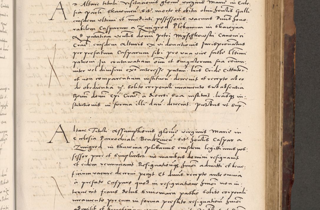Zdjęcie nr 187 dla obiektu archiwalnego: Acta actorum causarum, sentenciarum tam diffinitivarum quam interloquutoriarum, decretorum, obligationum, quietationum et constitucionum procuratorum coram reverendo domino Bartholomeo Ganthkowski cancellario Gnesnensi, archidiacono et reverendissimi in Christo patris domini Andree Dei gratia episcopi Cracoviensis vicario in spiritualibus generali Cracoviensi ad annum Domini millesimum quingentesimum quingentesimum secundum, cuius indictio decima, pontificatus Julii pape tercii, annus tercius, foeliciter continuantur.