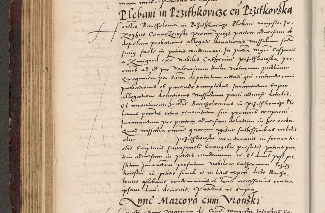 Zdjęcie nr 180 dla obiektu archiwalnego: Acta actorum causarum, sentenciarum tam diffinitivarum quam interloquutoriarum, decretorum, obligationum, quietationum et constitucionum procuratorum coram reverendo domino Bartholomeo Ganthkowski cancellario Gnesnensi, archidiacono et reverendissimi in Christo patris domini Andree Dei gratia episcopi Cracoviensis vicario in spiritualibus generali Cracoviensi ad annum Domini millesimum quingentesimum quingentesimum secundum, cuius indictio decima, pontificatus Julii pape tercii, annus tercius, foeliciter continuantur.
