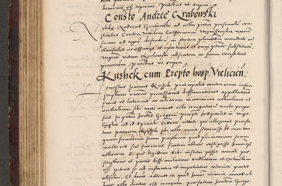 Zdjęcie nr 164 dla obiektu archiwalnego: Acta actorum causarum, sentenciarum tam diffinitivarum quam interloquutoriarum, decretorum, obligationum, quietationum et constitucionum procuratorum coram reverendo domino Bartholomeo Ganthkowski cancellario Gnesnensi, archidiacono et reverendissimi in Christo patris domini Andree Dei gratia episcopi Cracoviensis vicario in spiritualibus generali Cracoviensi ad annum Domini millesimum quingentesimum quingentesimum secundum, cuius indictio decima, pontificatus Julii pape tercii, annus tercius, foeliciter continuantur.