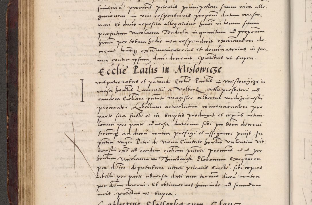 Zdjęcie nr 116 dla obiektu archiwalnego: Acta actorum causarum, sentenciarum tam diffinitivarum quam interloquutoriarum, decretorum, obligationum, quietationum et constitucionum procuratorum coram reverendo domino Bartholomeo Ganthkowski cancellario Gnesnensi, archidiacono et reverendissimi in Christo patris domini Andree Dei gratia episcopi Cracoviensis vicario in spiritualibus generali Cracoviensi ad annum Domini millesimum quingentesimum quingentesimum secundum, cuius indictio decima, pontificatus Julii pape tercii, annus tercius, foeliciter continuantur.