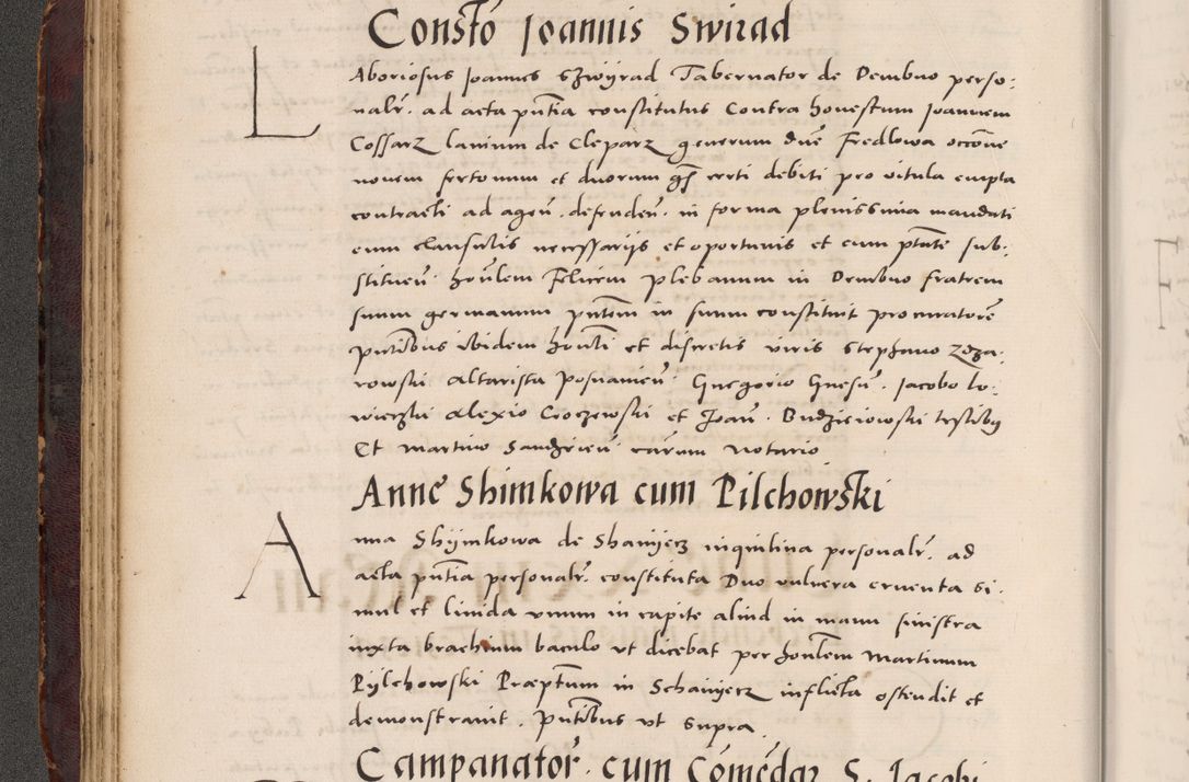 Zdjęcie nr 84 dla obiektu archiwalnego: Acta actorum causarum, sentenciarum tam diffinitivarum quam interloquutoriarum, decretorum, obligationum, quietationum et constitucionum procuratorum coram reverendo domino Bartholomeo Ganthkowski cancellario Gnesnensi, archidiacono et reverendissimi in Christo patris domini Andree Dei gratia episcopi Cracoviensis vicario in spiritualibus generali Cracoviensi ad annum Domini millesimum quingentesimum quingentesimum secundum, cuius indictio decima, pontificatus Julii pape tercii, annus tercius, foeliciter continuantur.